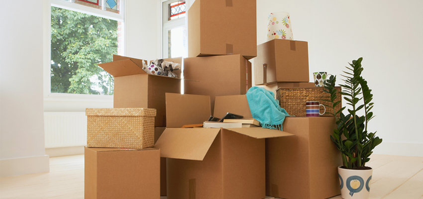 Ready for Moving Day? Some Tips to Packing Quickly