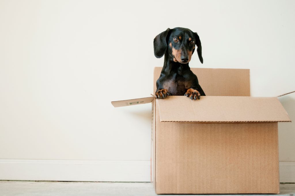 How Many Moving Boxes Will You Need? How Many Moving Boxes Will You Need?
